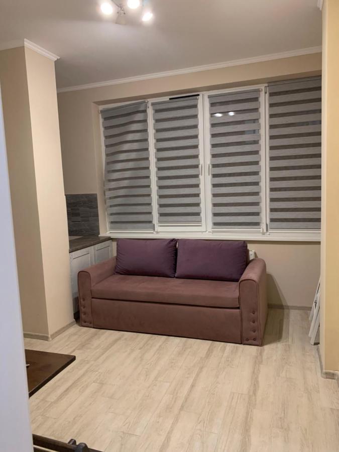 Срібний Дім Apartments Τρούσκαβετς Εξωτερικό φωτογραφία